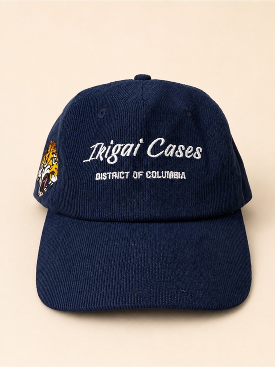 Other - Ikigai Cases District of Columbia Navy Corduroy Tiger Snapback Hat